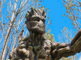 El fantástico Humedal de Huasao